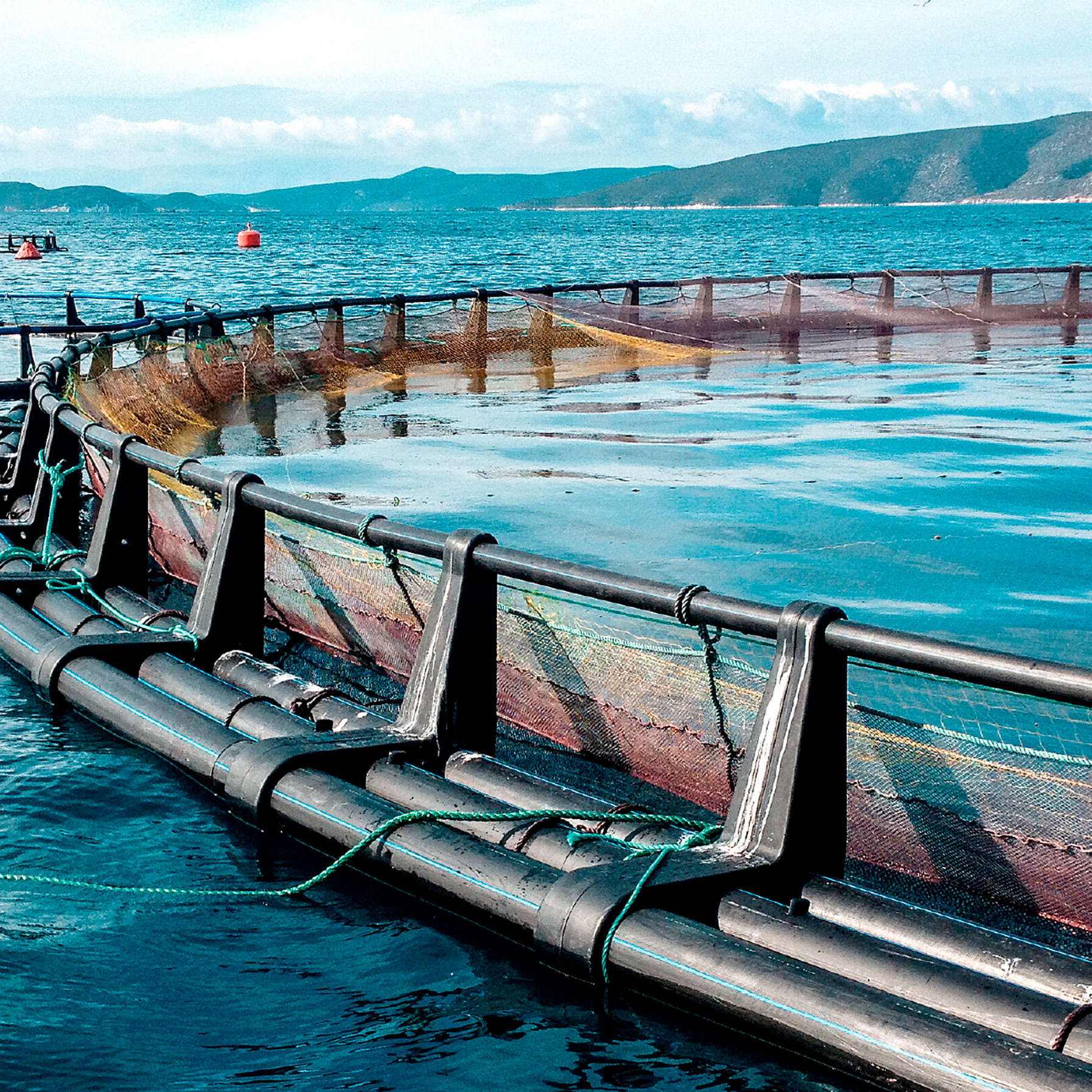 Insatech Oxyguard Sea Cage